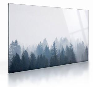 Üveg kép - Ködös erdő (70x50 cm)