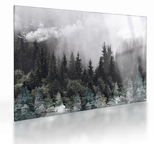 Üveg kép - Erdő illusztrált elemekkel (70x50 cm)