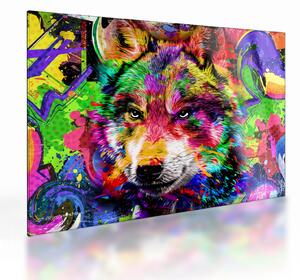 Üveg kép - Farkas graffitivel (70x50 cm)