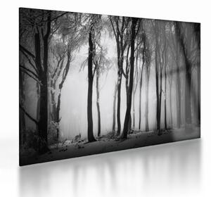 Üveg kép - Farkas a sötét erdőben (70x50 cm)