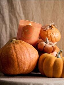 Sinsay - Illatos gyertya Spiced Orange - rézvörös