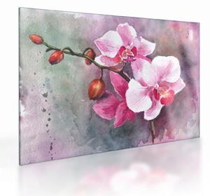 Üveg kép - Orchideák, akvarell (70x50 cm)