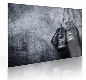 Üveg kép - Bokszkesztyű (70x50 cm)