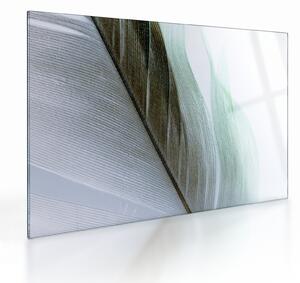 Üveg kép - Tollak, makro (70x50 cm)