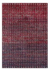 Royal cseresznyepiros/tengerészkék szőnyeg 160x230cm