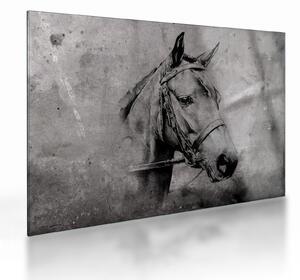 Üveg kép - Egy ló portréja (70x50 cm)