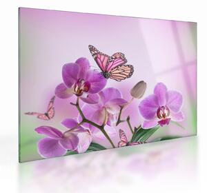 Üveg kép - Pillangó orchidea virágon, lila (70x50 cm)