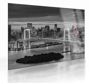 Üveg kép - Nagyváros piros toronnyal (70x50 cm)