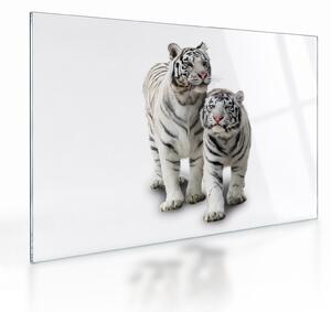 Üveg kép - A fehér tigris (70x50 cm)
