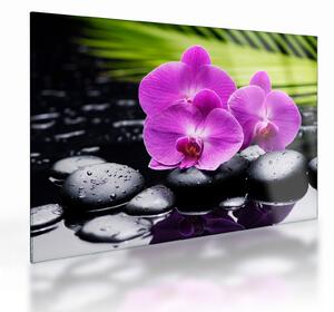 Üveg kép - Orchideák (70x50 cm)