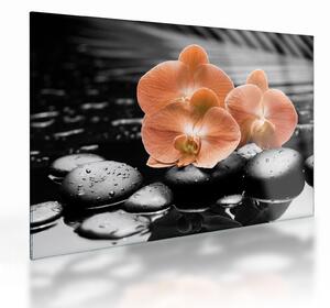 Üveg kép - Narancssárga orchideák (70x50 cm)