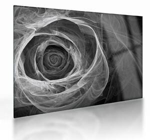 Üveg kép - Absztrakt rózsa fekete-fehér (70x50 cm)