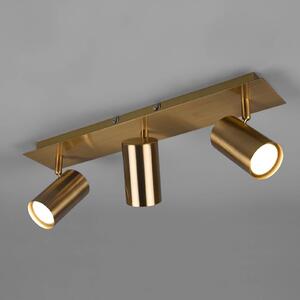 Trio Lighting Marley mennyezeti spotlámpa, antik sárgaréz, 3 lámpás, dimmelhető, Bronz / antik sárgaréz, Nappali / Étkező, fém, Modern