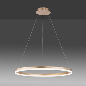 Paul Neuhaus LED-es függőlámpa Titus, Ø 80 cm, sárgaréz, fényerőszabályozó, dimmelhető, Sárgaréz / arany, Nappali / Étkező, Alumínium, Modern