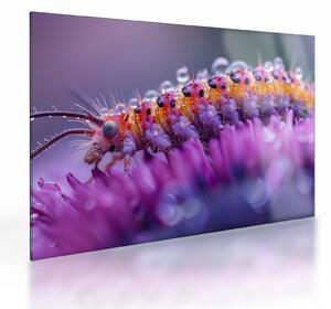 Üveg kép - Caterpillar (70x50 cm)