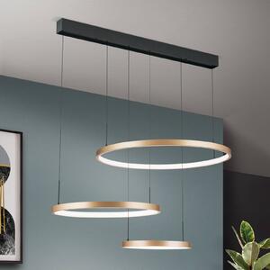 ORION LED lógó világítás Nuvano, 3 izzós, fekete/arany, dimmelhető, Fekete, Nappali / Étkező, fém, Modern