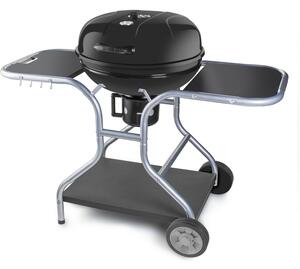 Fieldmann FZG 1014 faszenes grill