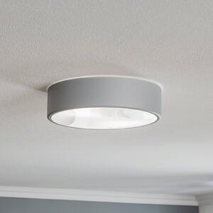 Cleo 300 mennyezeti lámpa, IP54, Ø 30 cm szürke