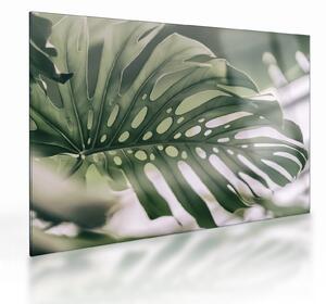 Üveg kép - Szörnyek listája (70x50 cm)