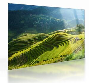 Üveg kép - Rice Terraces koncert (70x50 cm)
