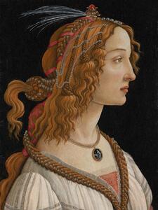 Festmény reprodukció Portrait of Simonetta Vespucci - Sandro Botticelli, (30 x 40 cm)