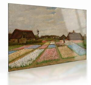 Üveg kép - Vincent van Gogh, Flower Beds in Holland, reprodukciók (70x50 cm)