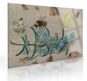 Üveg kép - Jan van Kessel the Elder, Insects and a Sprig of Rosemary, reprodukciók (70x50 cm)