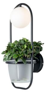 Fali Lámpa Lindby, Orna, dimmable, Fekete, Nappali, Fém, Modern