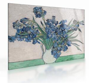 Üveg kép - Vincent van Gogh, Irises, reprodukciók (70x50 cm)