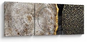 Kép - Fatörzs a kollázsban 2 (órával) (90x30 cm)