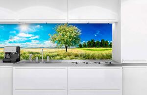 Konyhai fotótapéta - egy fa a réten 180 x 60 cm