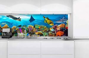 Konyhai fotótapéta - hal az óceánban 180 x 60 cm