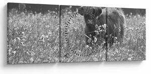 Kép - Skót tehén 5, fekete-fehér (órával) (90x30 cm)