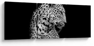 Kép - Leopárd (órával) (90x30 cm)
