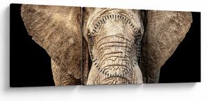 Kép - Afrikai elefánt (órával) (90x30 cm)