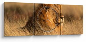 Kép - Etosha Nemzeti Park (órával) (90x30 cm)