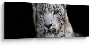 Kép - Snow Leopard (órával) (90x30 cm)
