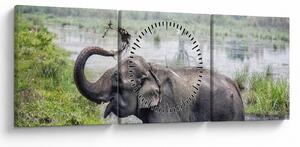 Kép - Fürdőző elefánt (órával) (90x30 cm)