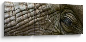 Kép - Közelkép az öreg elefánt szeméről (órával) (90x30 cm)