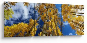 Kép - Aspen (órával) (90x30 cm)