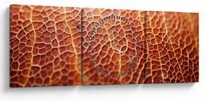 Kép - Textúra részlet (órával) (90x30 cm)