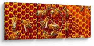 Kép - Méhsejtes (órával) (90x30 cm)