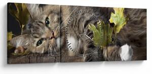 Kép - Hazudós macska (órával) (90x30 cm)