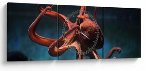 Kép - Octopus (órával) (90x30 cm)