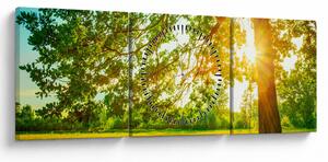 Kép - Sunny Forest (órával) (90x30 cm)