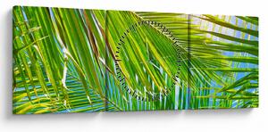 Kép - Pálmalevelek (órával) (90x30 cm)
