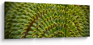 Kép - Fern (órával) (90x30 cm)