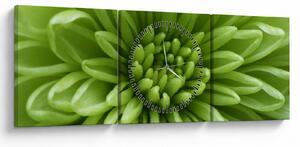 Kép - Makro kép egy növényről (órával) (90x30 cm)