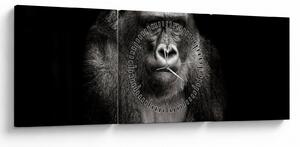 Kép - Gorilla (órával) (90x30 cm)