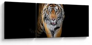 Kép - Tigris (órával) (90x30 cm)